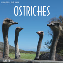 Peninsula Publishers - Ostriches